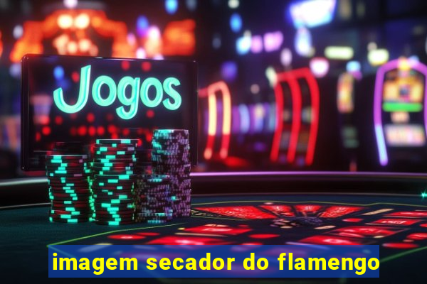 imagem secador do flamengo